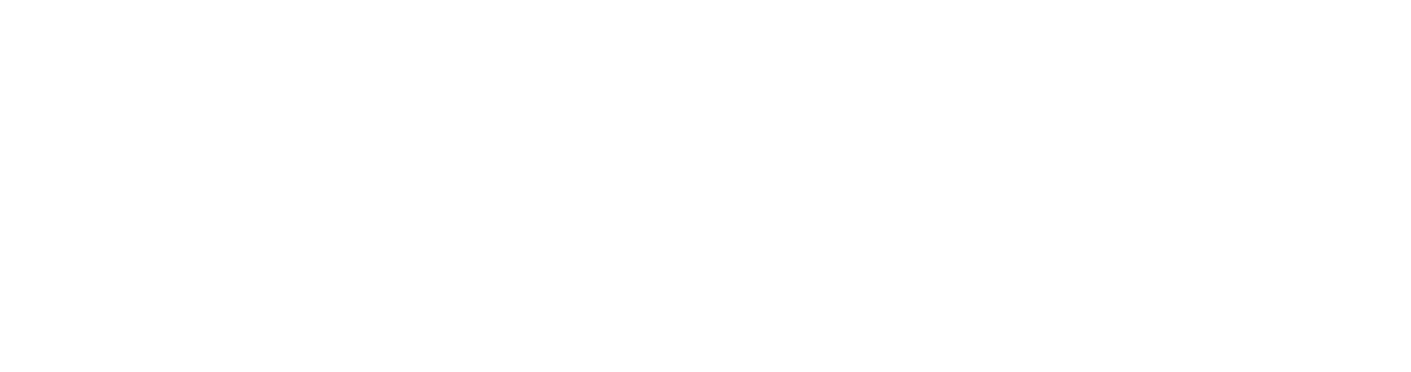 GO Developer